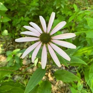 Meet your Posher, Mariah